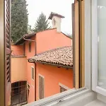Papavero Accademia Carrara